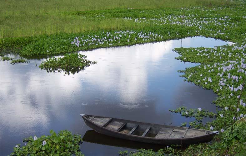 Foto: Banglad�-Sonargon