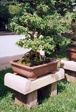 Foto: �aj fuki