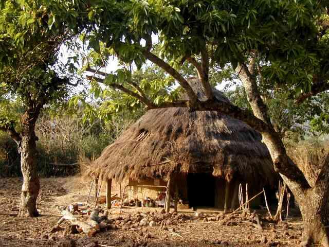 Foto: Guinea