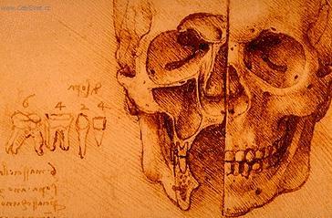 Foto: Leonardo da Vinci