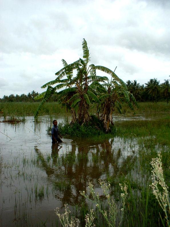 Foto: Mosambik-Inhambane