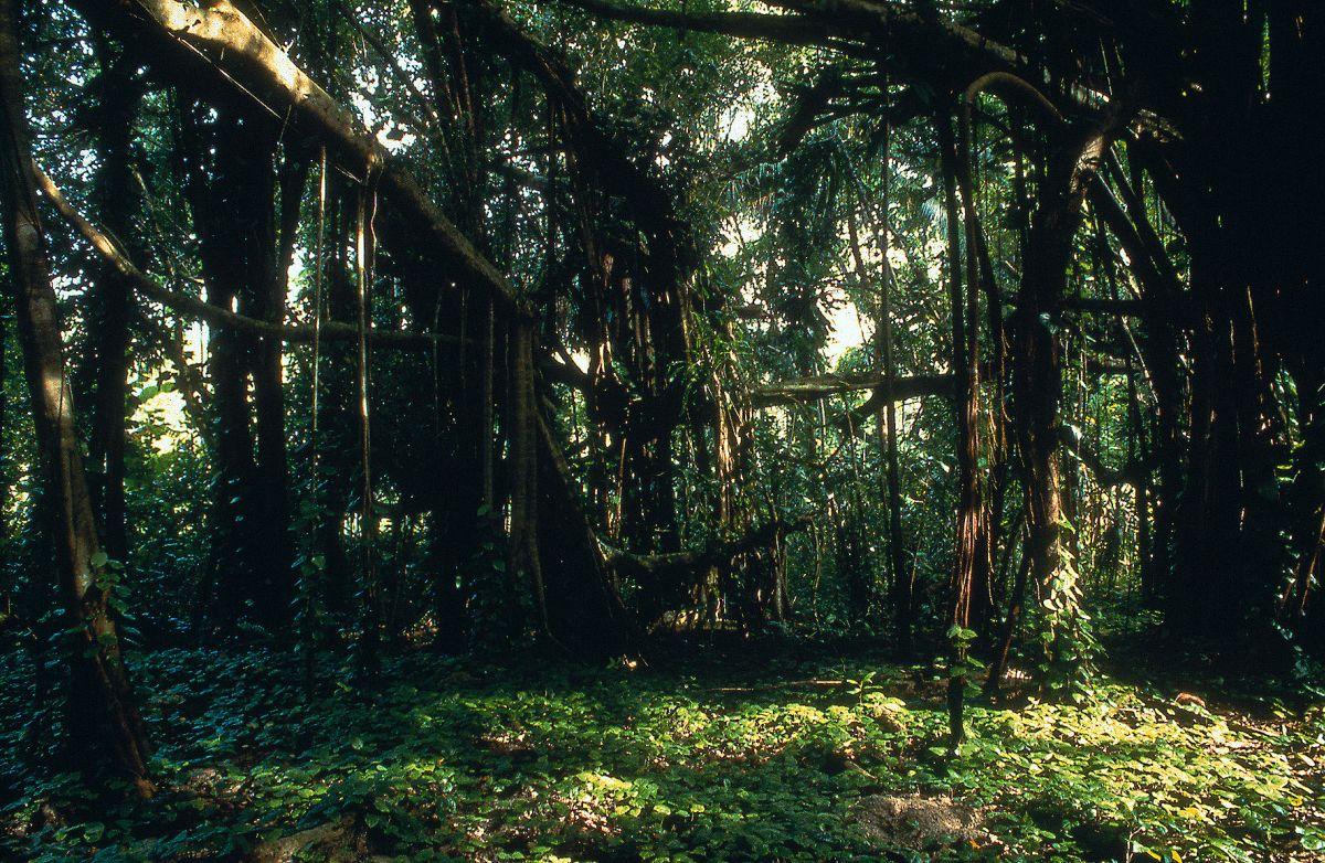 Foto: Palau