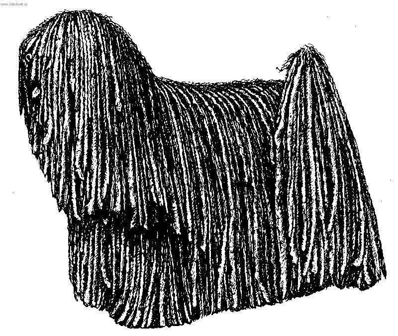 Foto: Puli-Kresba