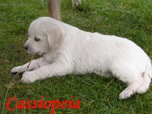 Foto: �t�n� a v�e o n�m