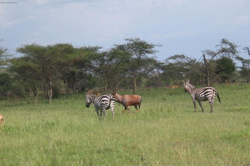 Foto: Tanzanie