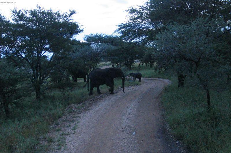 Foto: Tanzanie