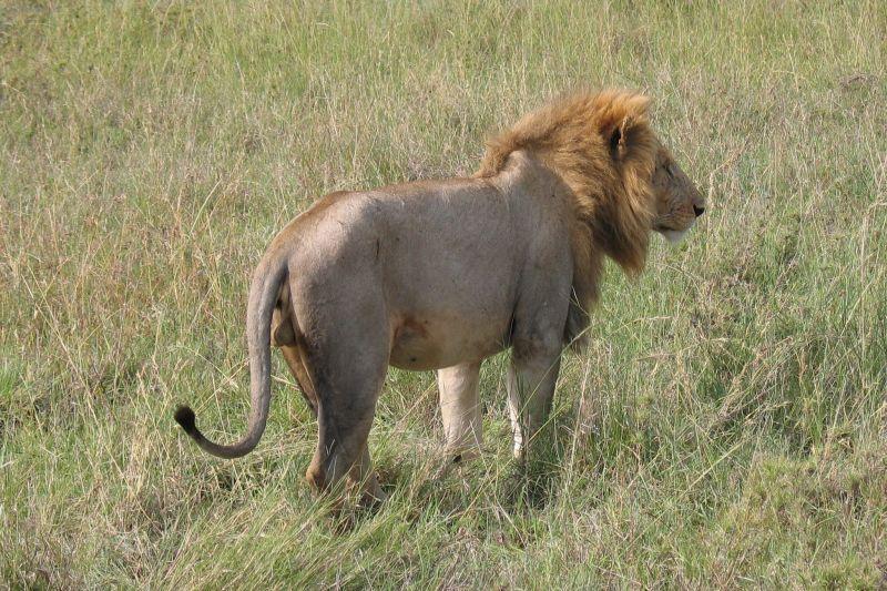 Foto: Tanzanie