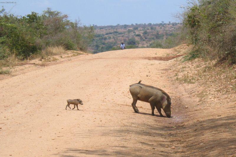 Foto: Uganda