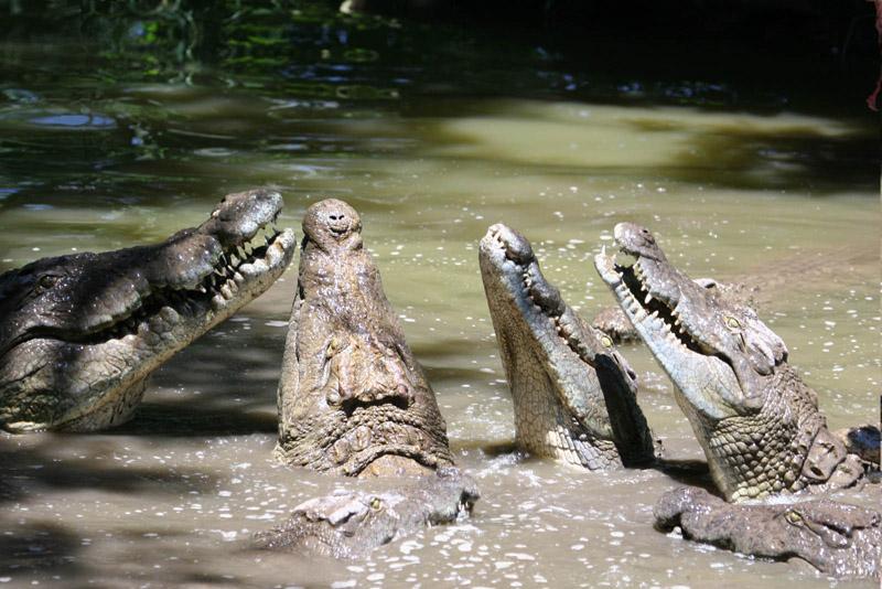 Foto: Zimbabwe