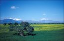 :  > Al��rsko (Algeria)