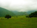 :  > �zerb�jd��n (Azerbaijan)
