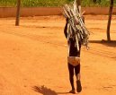 Benin