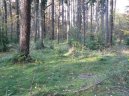 :  > �esk� republika - �esko (cestopis) (The Czech republic)