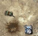 :  > Crusader tank (bojov� free flash hra on-line)