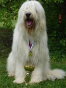 Jihorusk� ov��k