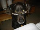 :  > Kastrace - ano �i ne? (p��nosy kastrace)