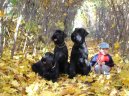 Kn�ra� velk�