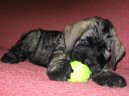 Kn�ra� velk�