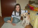 Fotky: Labradorsk� retr�vr (foto, obrazky)