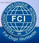 :  > Mezin�rodn� organizace ps� (International organizations and federations handlers)