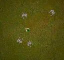 :  > Monster Invade (Napaden� monstr�)