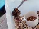 Nalezen� pta�� ml��ata !
