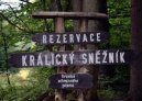 :  > Pardubick� kraj