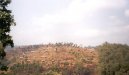 Zem�pis sv�ta:  > Rwanda