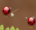:  > Spider bugs (vtipn� free flash hra on-line)