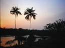 Fotky: St�edoafrick� republika (foto, obrazky)