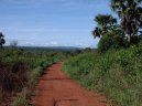 Fotky: St�edoafrick� republika (foto, obrazky)