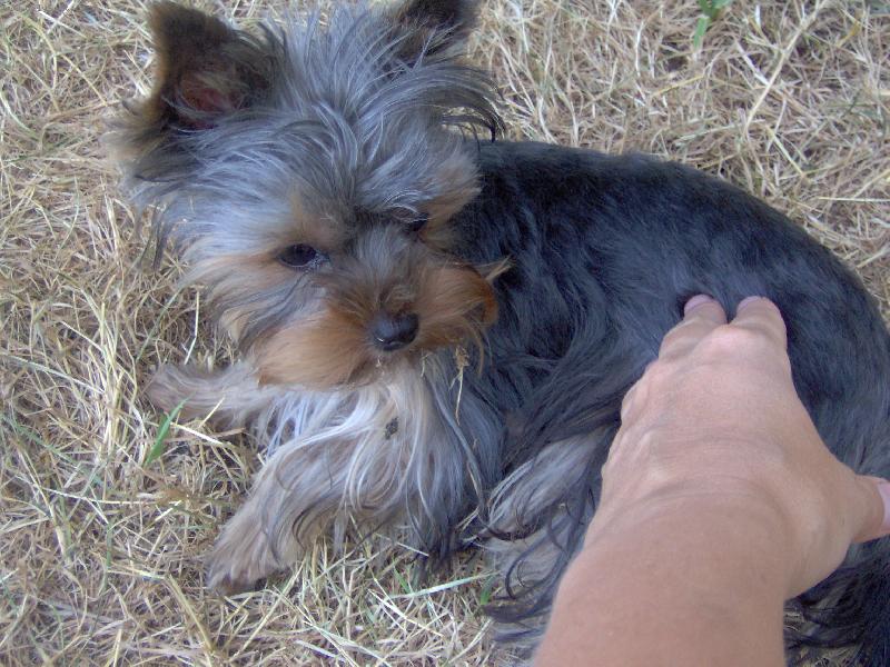Foto: Charlie