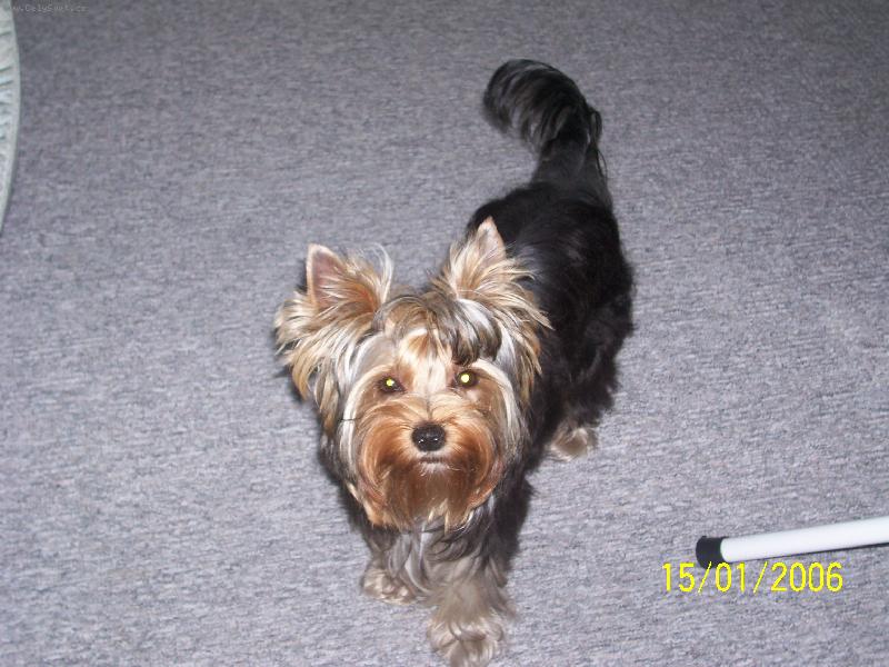 Foto: Bessy
