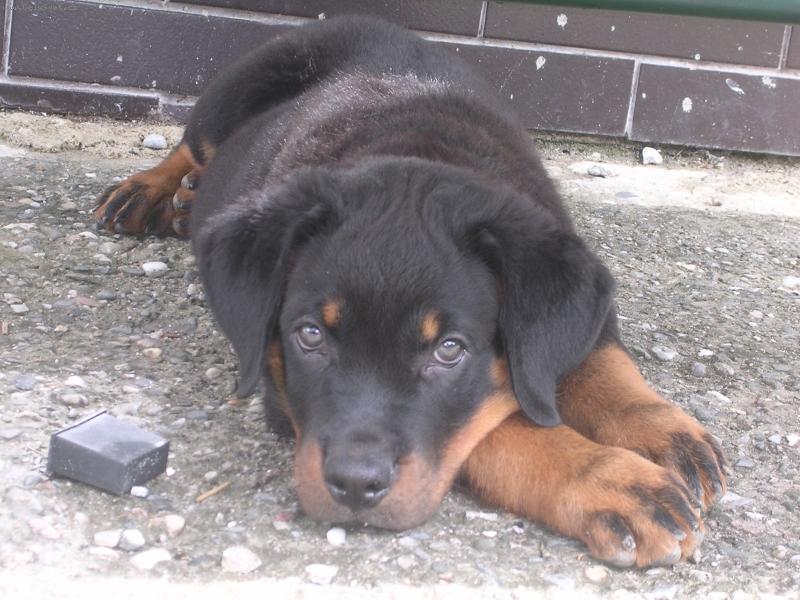 Foto: Max