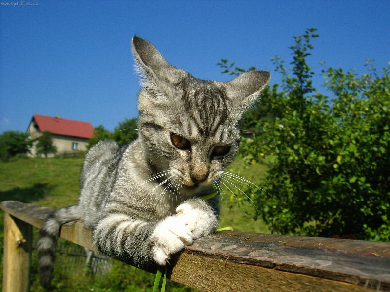 Foto: Zo�ka