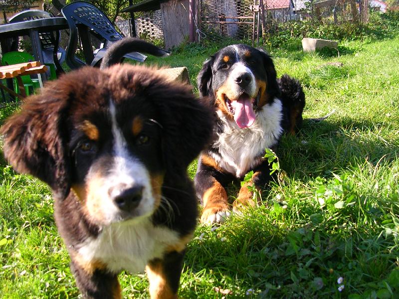 Foto: Max a Sam