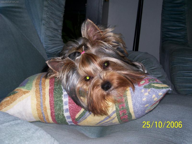 Foto: Bessy