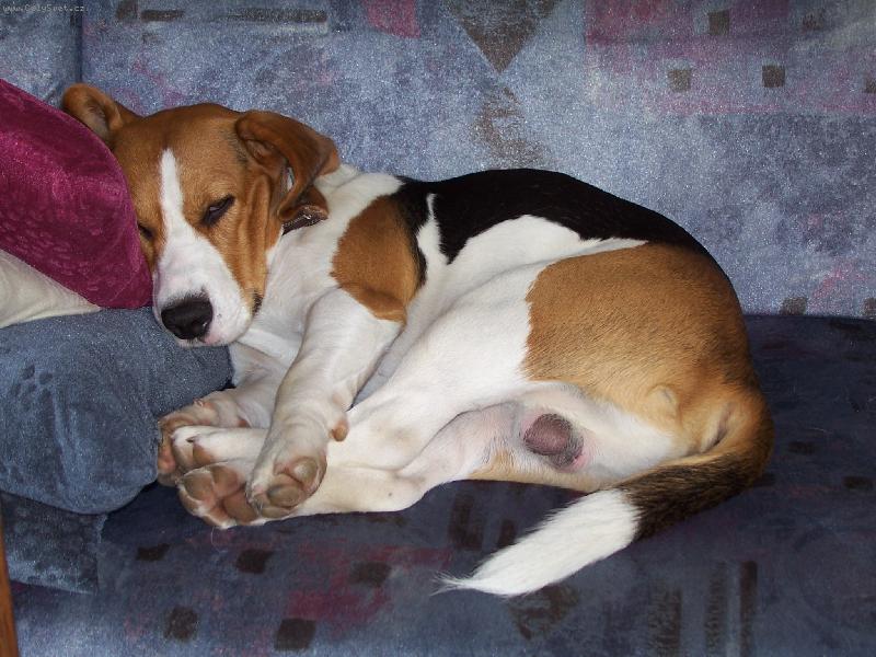 Foto: ozzy spink�