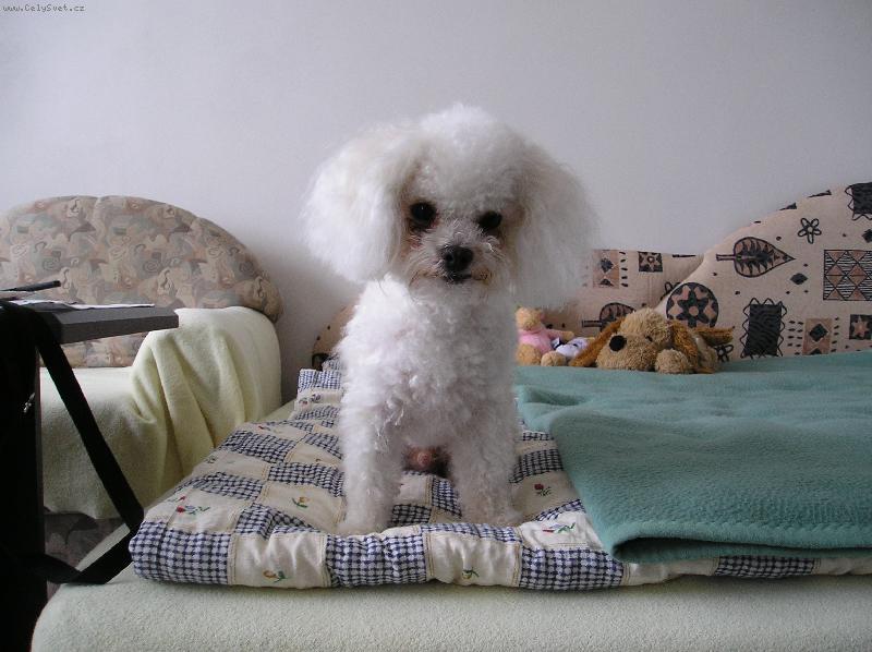 Foto: ando�ek :)