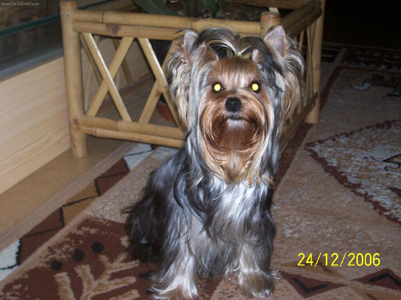 Foto: Bessy