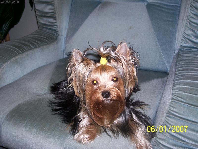 Foto: Bessy