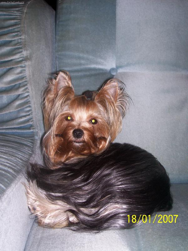 Foto: Bessy