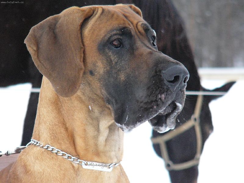 Foto: Enzo Rendog