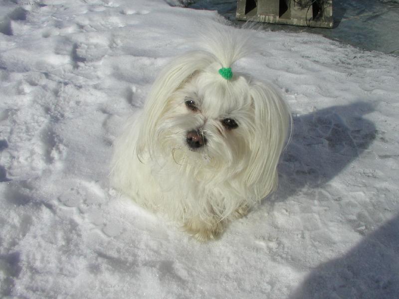 Foto: Cindulka