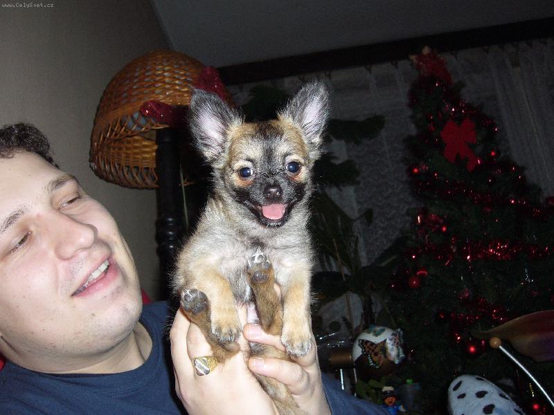 Foto: �ivko