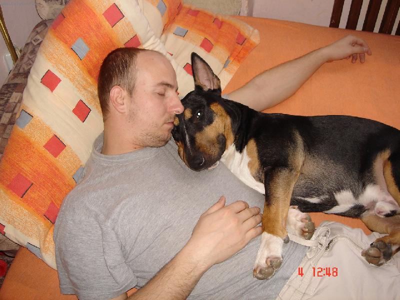 Foto: Apollo