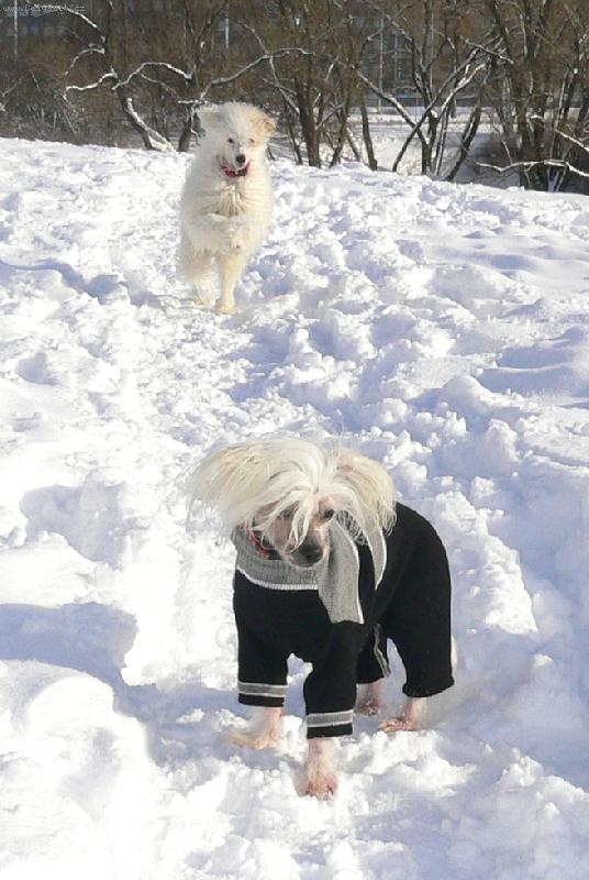 Foto: B�l� zima