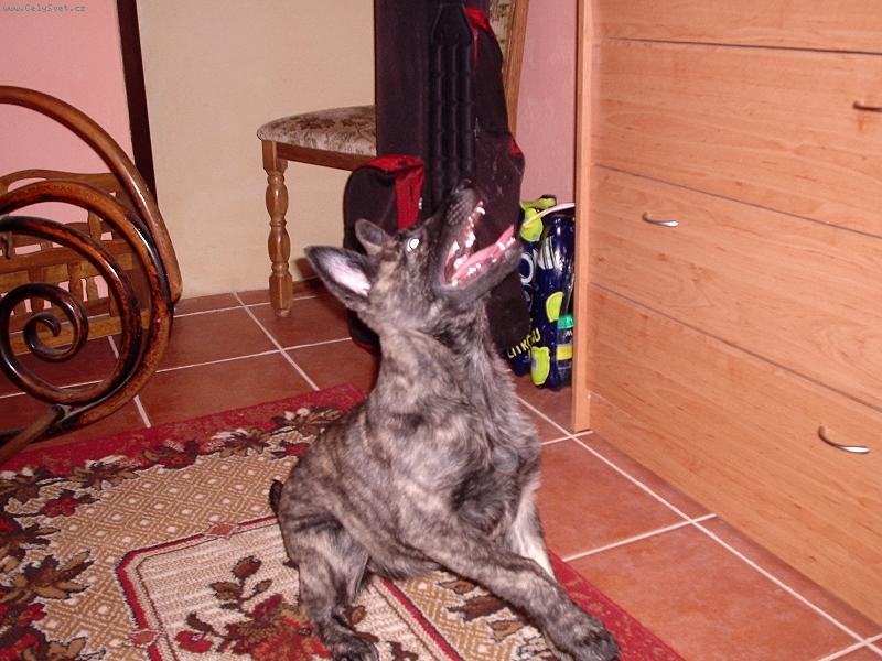 Foto: Arwenny