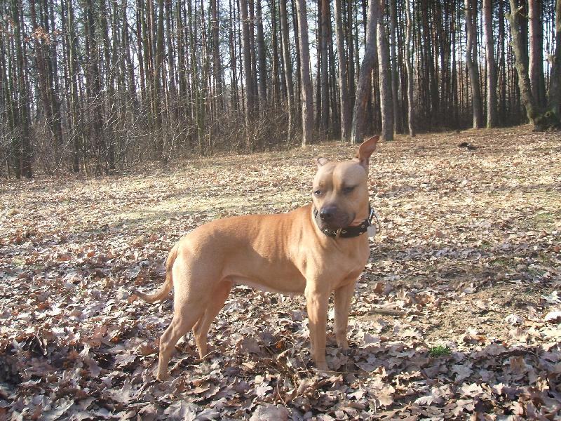 Foto: Benjamina