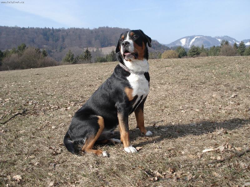 Foto: Model